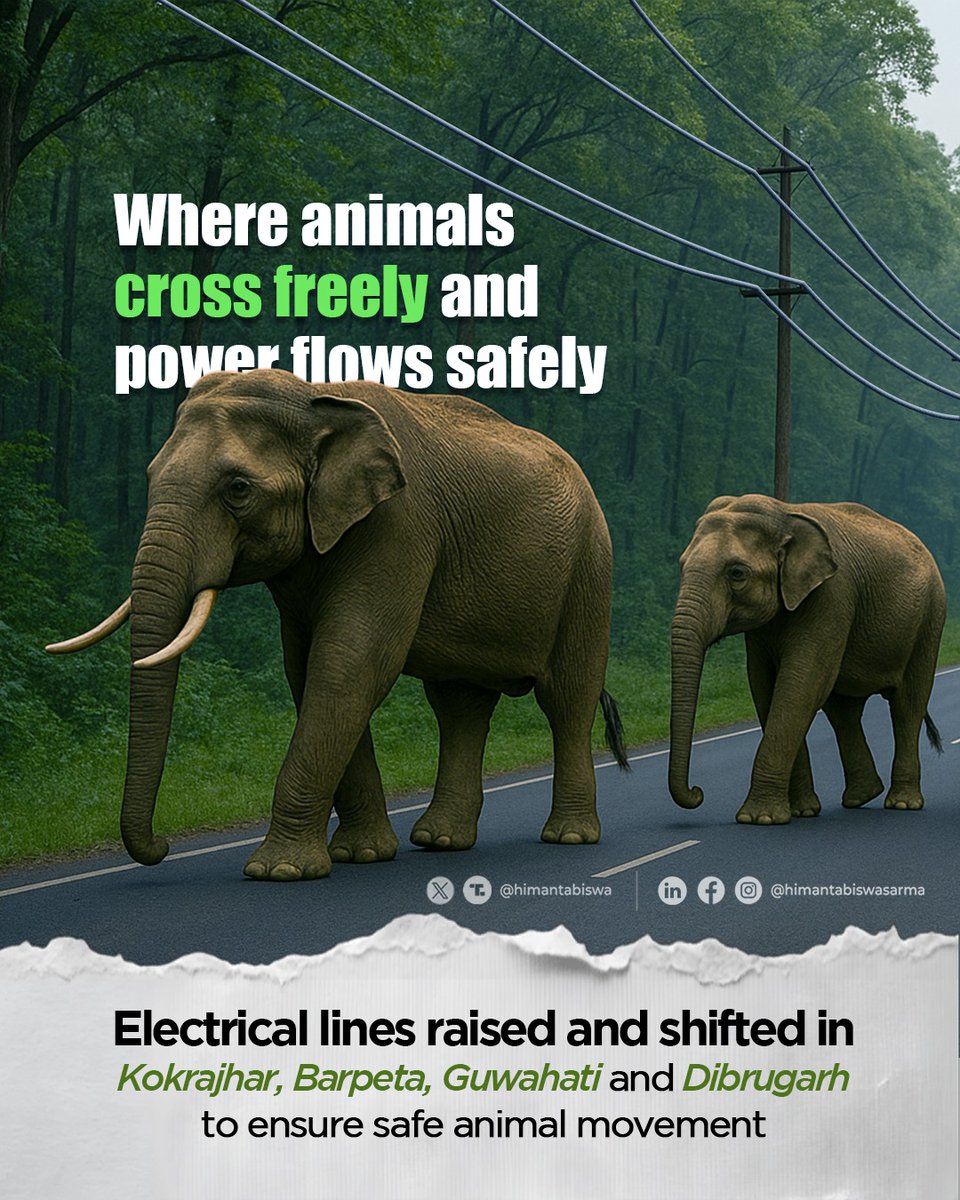 himantabiswa's tweet photo. हाथी हमारे साथी 🐘

When nature calls, Assam answers!

Power lines across key corridors have been raised and relocated, ensuring elephants move freely, ensuring no barriers, no threats, only safe passage. https://t.co/cxPpIxO7Jo
