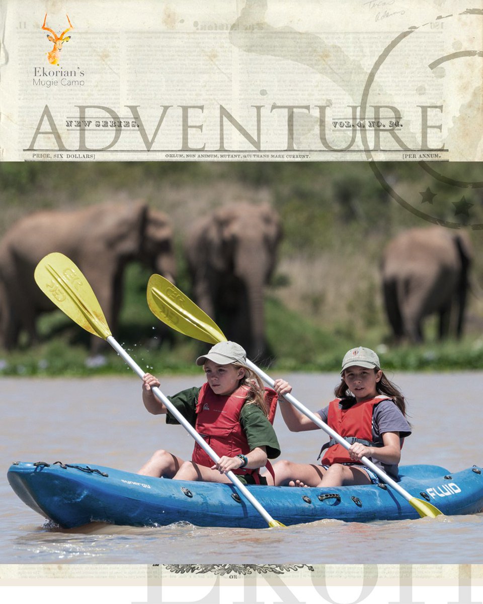 Mugie mornings hit different. Grab a drink on the deck, watch elephants and buffaloes cool off at the dam, and if curiosity wins… take a kayak out and meet the wild from the water.

#EkoriansMugieCamp #MugieMagic