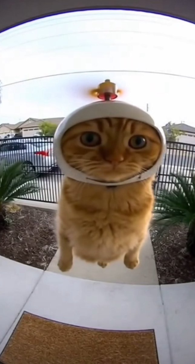 근명 (@noutop1a) on Twitter photo 