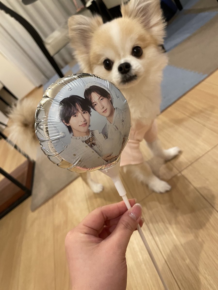 AN(´ω｀)💎🍯 tweet media