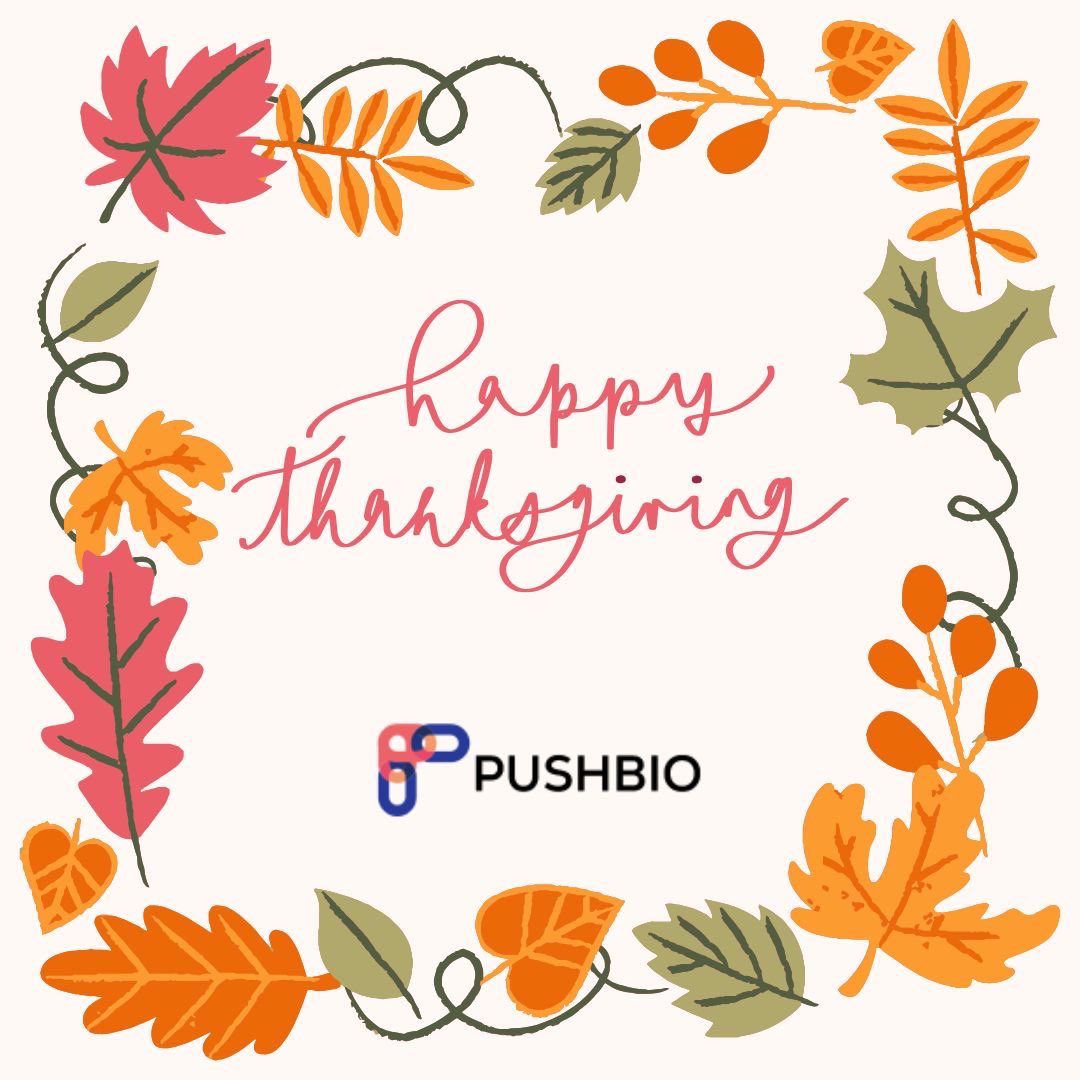 Pushbio's tweet image. Thankful for every creator, entrepreneur, and brand using Pushbio to share their work with the world. 

Wishing you a warm and restful Thanksgiving! 🍂

#Pushbio #CreatorTools #Thanksgiving
