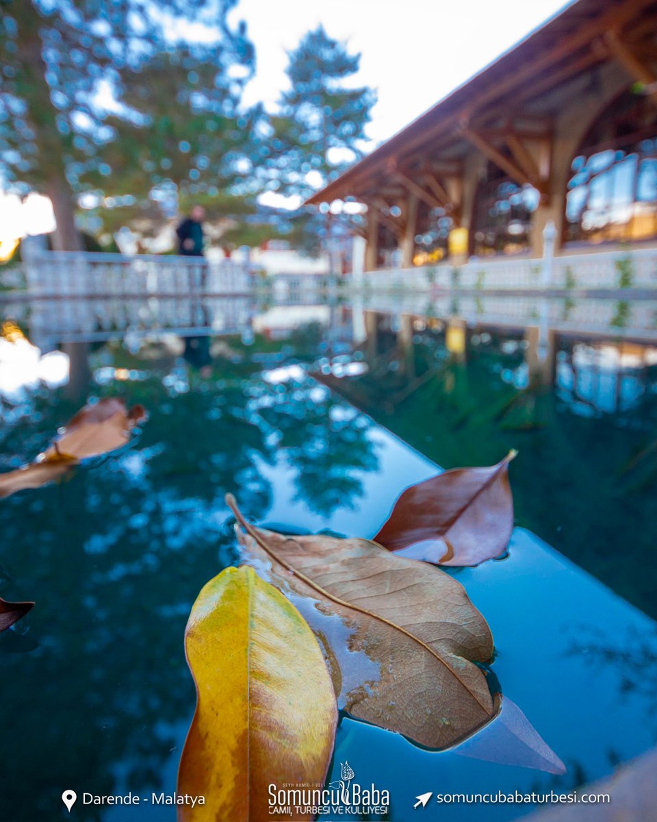 🚩Şeyh Hamid-i Veli Somuncu Baba
Türbesi ve Külliyesi
🚩Darende - Malatya

➡ somuncubabaturbesi.com
#SomuncuBaba #Darende #Malatya