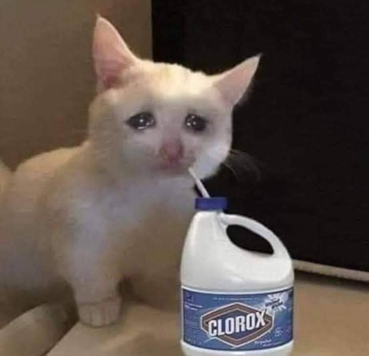 وها قد جاء من لايعرفه احد😸😸😸😸😂