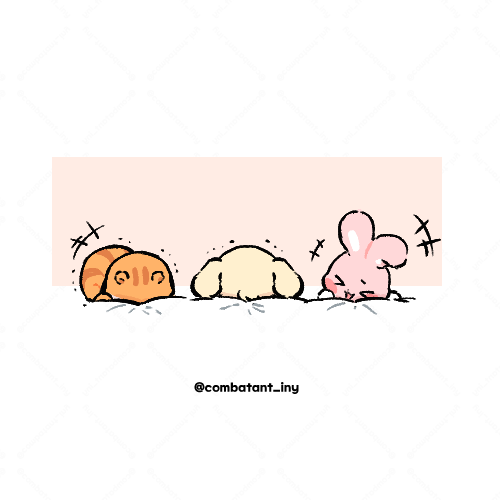 전투원 tweet media