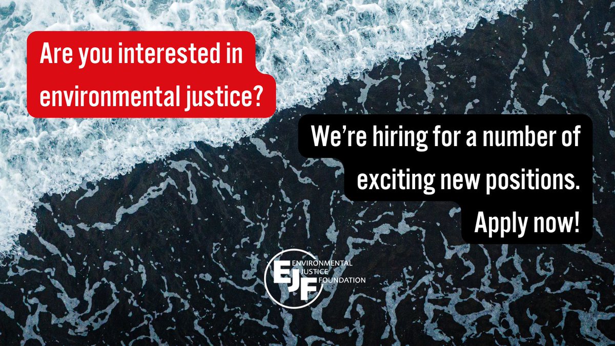opportunitiesfy's tweet photo. 🌍 EJF is hiring! Roles in oceans, climate &amp; advocacy. ⏳ Deadline: Rolling — apply ASAP 🔗 [https://t.co/msqr4EQzkN]
#EJF #Hiring #ClimateJobs #Oceans #NGOJobs https://t.co/UMMuBnfnEt