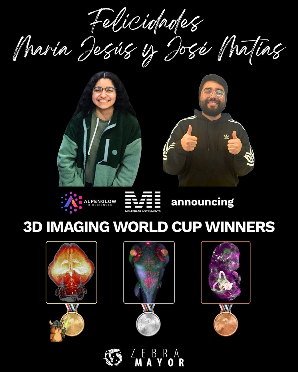 Zebramayor tweet media