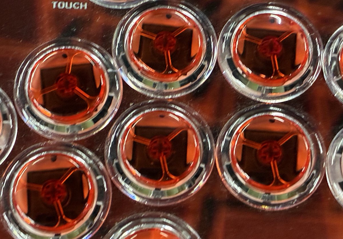 Flexigear's tweet image. FlashTap frame with keyboard switch.
(We will make this type of buttons too)