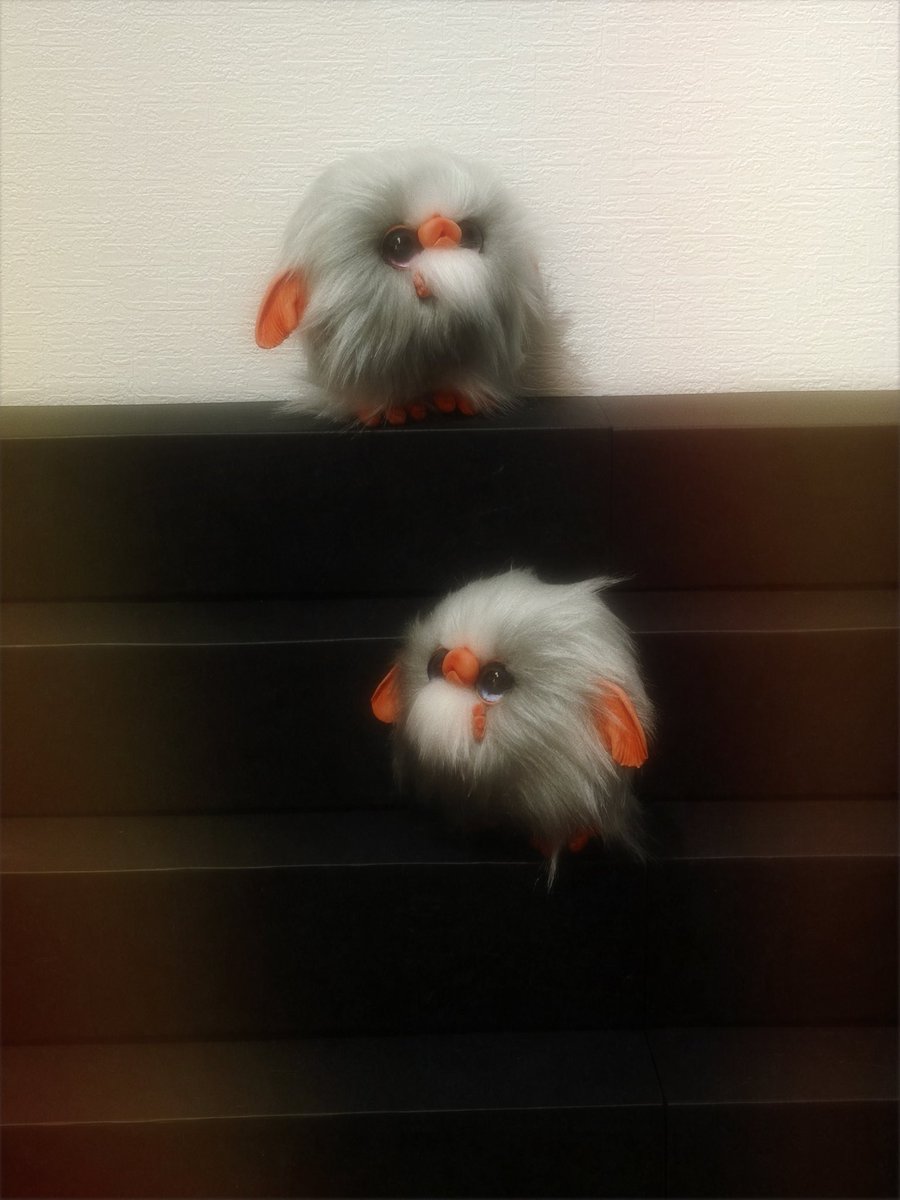 ミンナドコイッタ。。。。

2匹残りましたのよ☝️🧛‍♀️