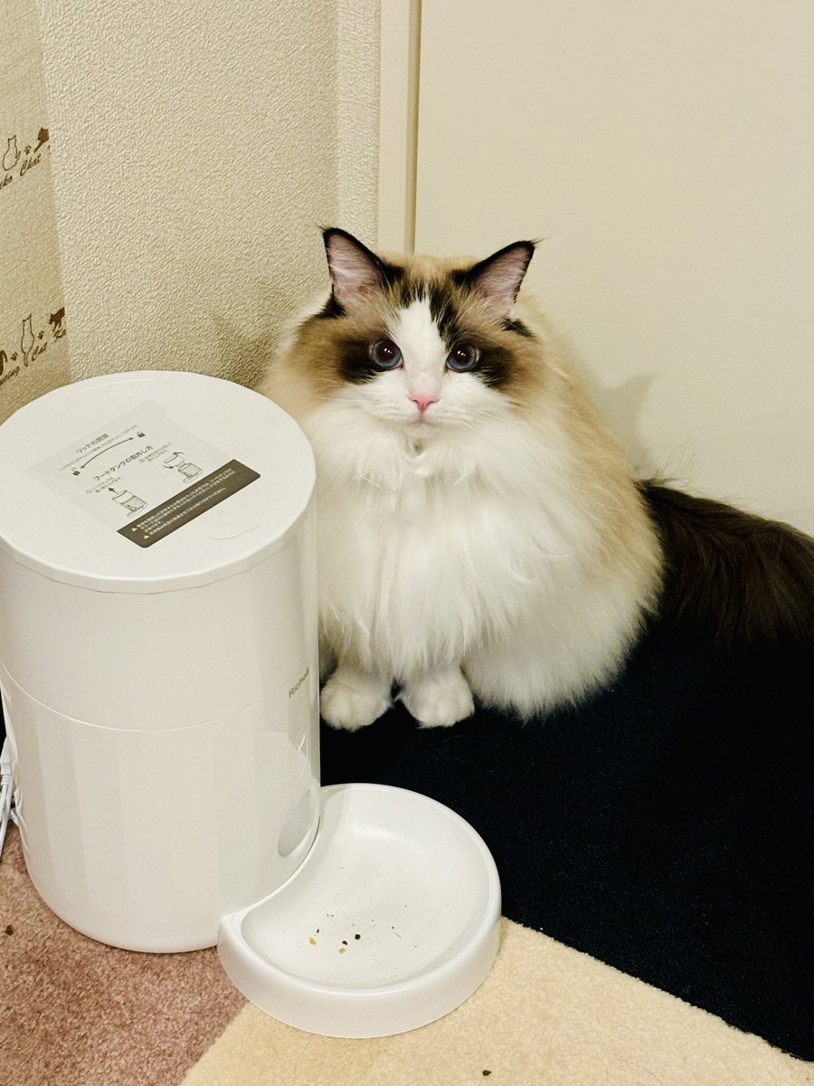 Z@端末 (@zunok2) / Posts / X