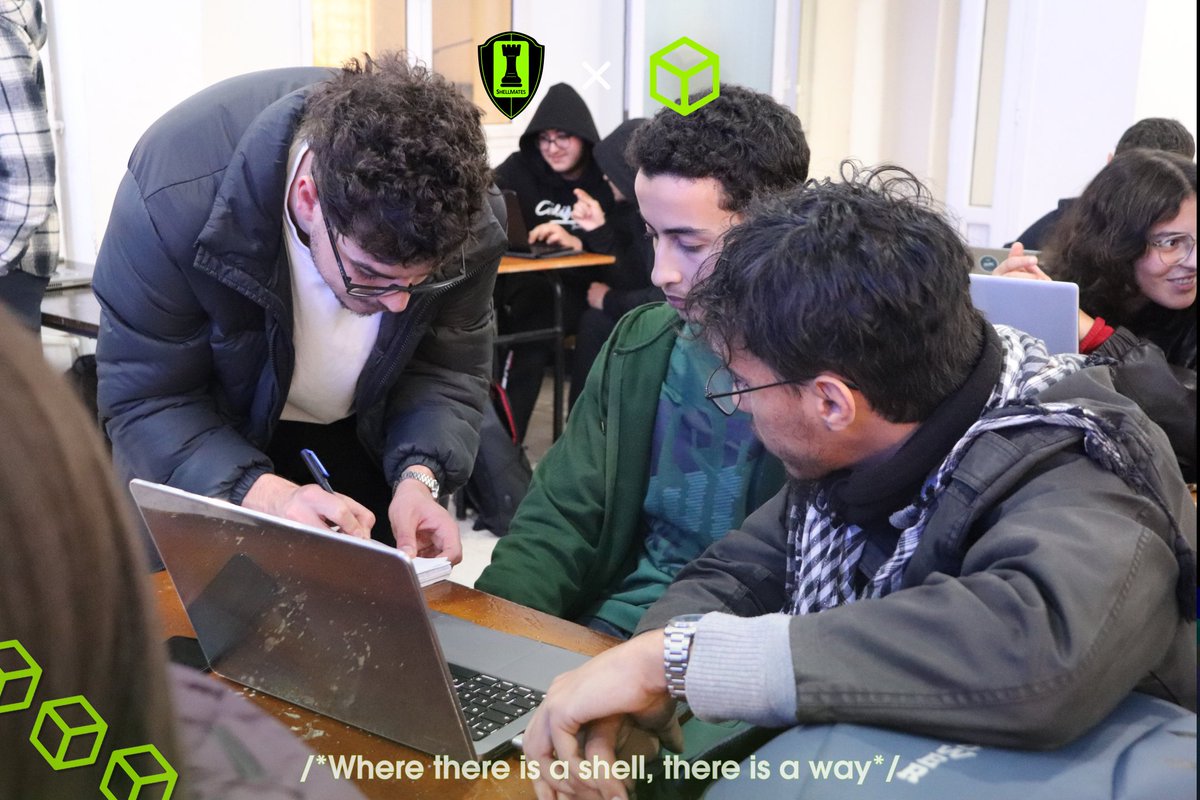 Shellmates Club tweet media