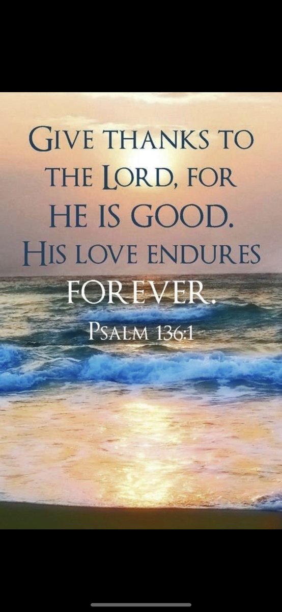 MichaelWaldie1's tweet image. #Yield #GodWins 🦃