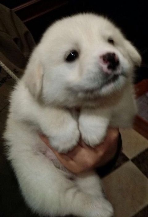 Ornej🦞 tweet media