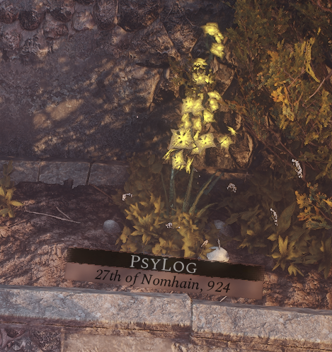 PsyMyrra's tweet photo. So, while I was stuck in backlog hell on release day of Soulframe Founder's and then wasn't able to plant anything the day after because of a bug, at least I found a spot on my birthday and will now have this forever in the game. I am happy with this outcome #soulframe https://t.co/Zn5B2KhGke