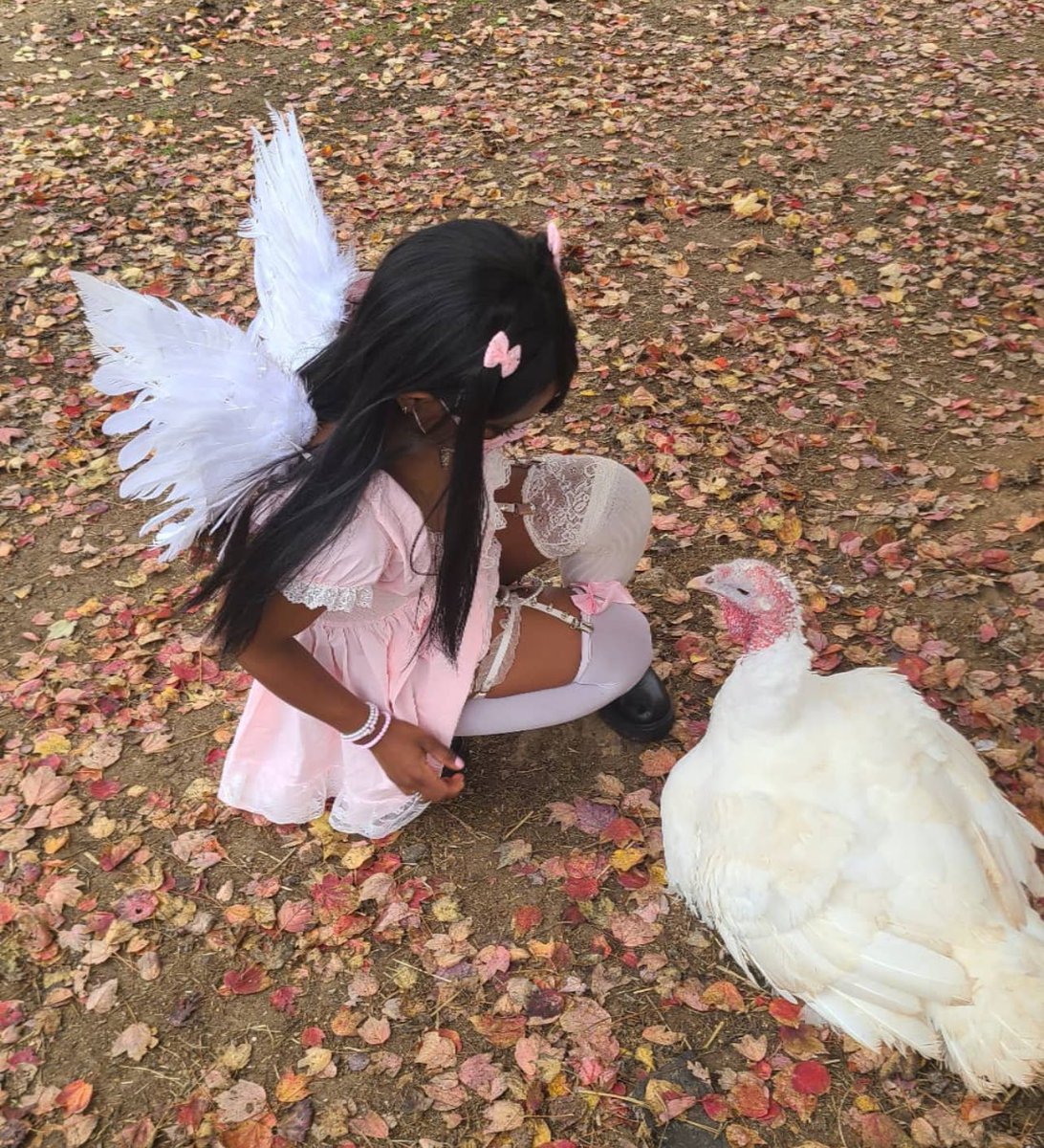 pinkholi's tweet image. 𓂋
ପ(๑ᴗ͈ˬᴗ͈)ଓ