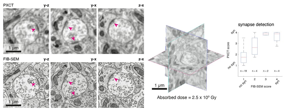 Carles Bosch tweet media