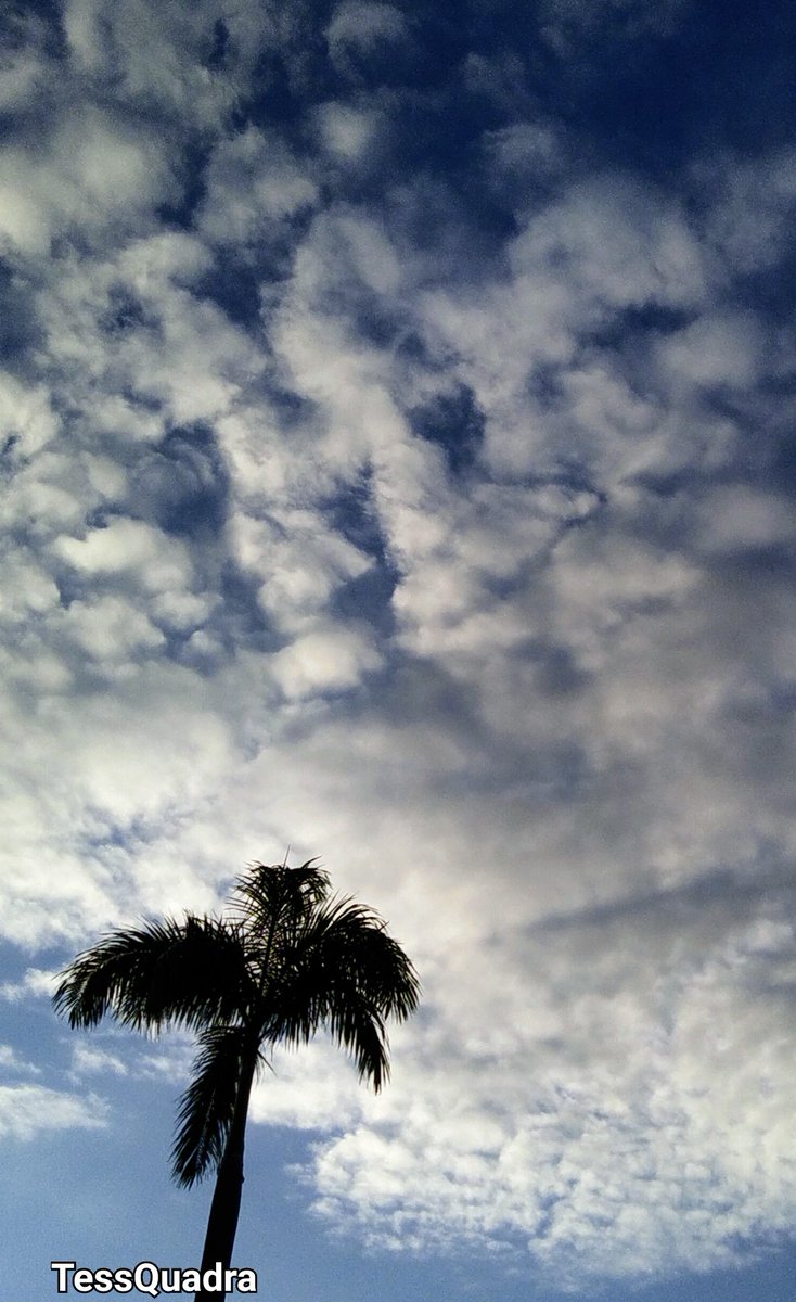 Kon_tessa's tweet image. #AlphabetChallenge
#WeekVforVowels 
Where the mountains sleep and the rivers fly☄️☄️☄️☄️
Under the sky☁️☁️☁️☁️