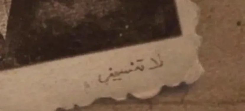 ✨ tweet media