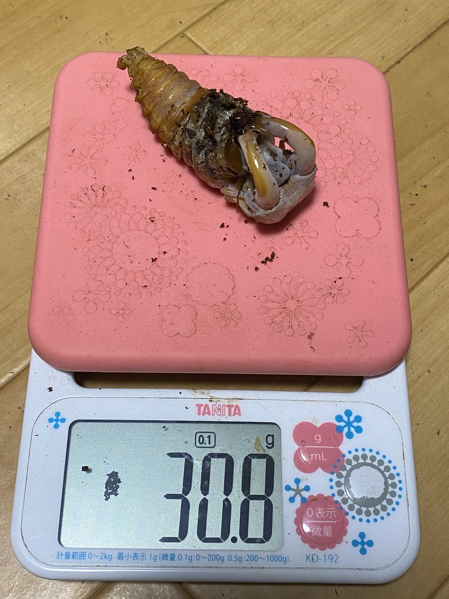 ささき (@sasaki_628212) / Posts / X