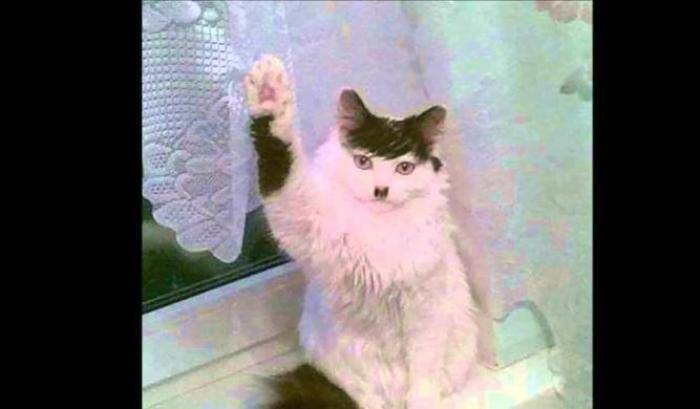 <a href="/visegrad24/">Visegrád 24</a> So now we can say "Heil Hitler" without being called Nazis?  🤔