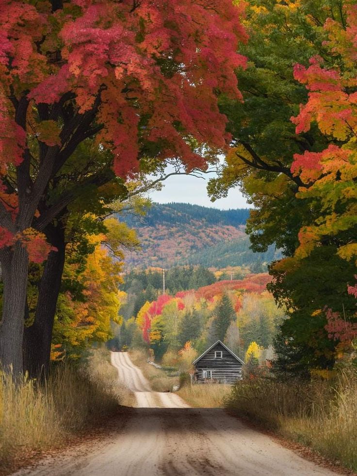 Earth Glory (@earthglory56) on Twitter photo 