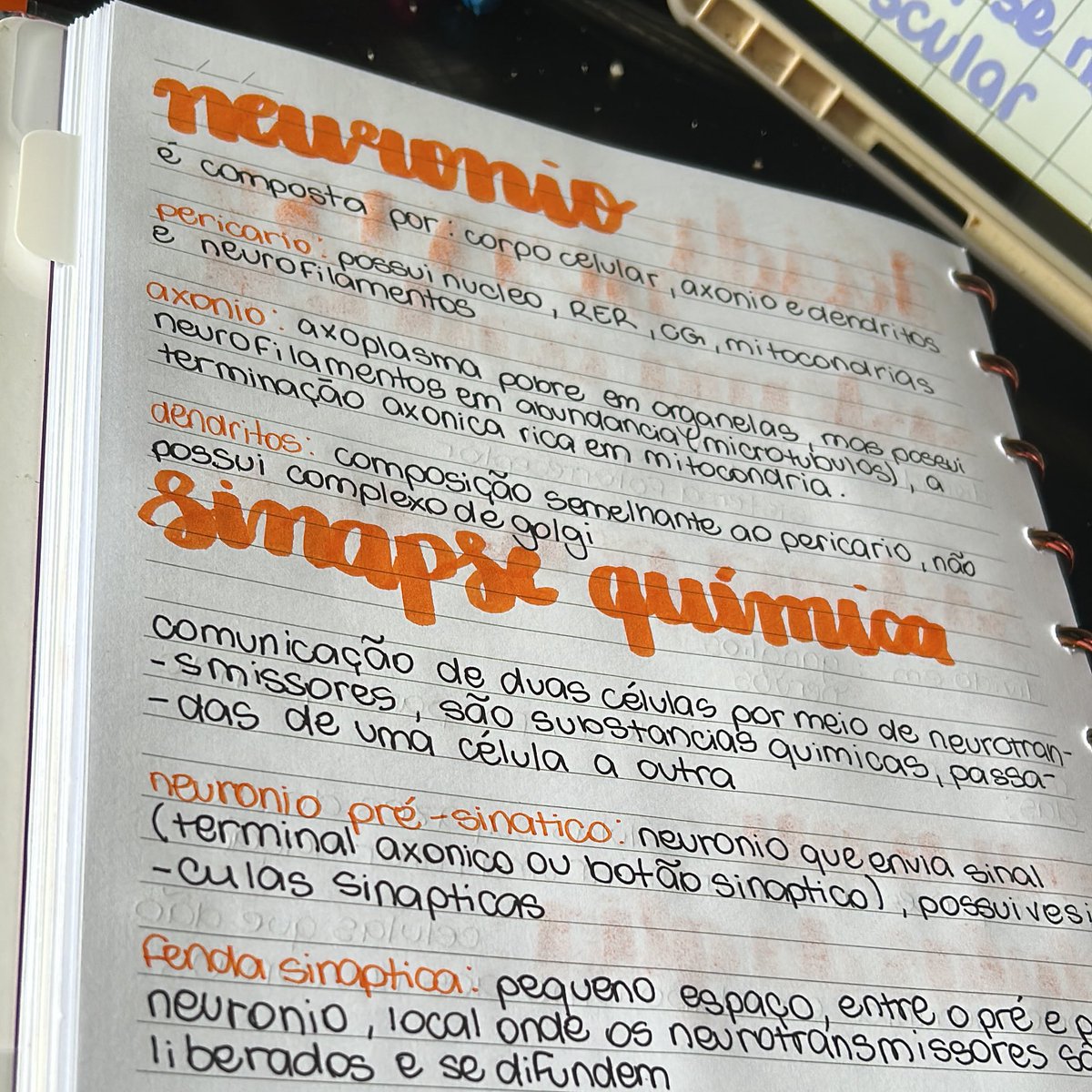 studysegalla's tweet image. study with me 🌷— 27/11/2025

Hoje estou estudando tecido nervoso, ainda mal comecei citologia para a prova do dia 03/12, mas espero conseguir arrumar tudo isso até o final de semana!