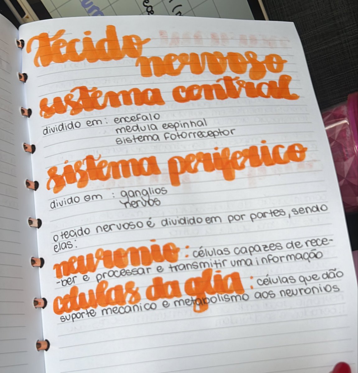 studysegalla's tweet image. study with me 🌷— 27/11/2025

Hoje estou estudando tecido nervoso, ainda mal comecei citologia para a prova do dia 03/12, mas espero conseguir arrumar tudo isso até o final de semana!