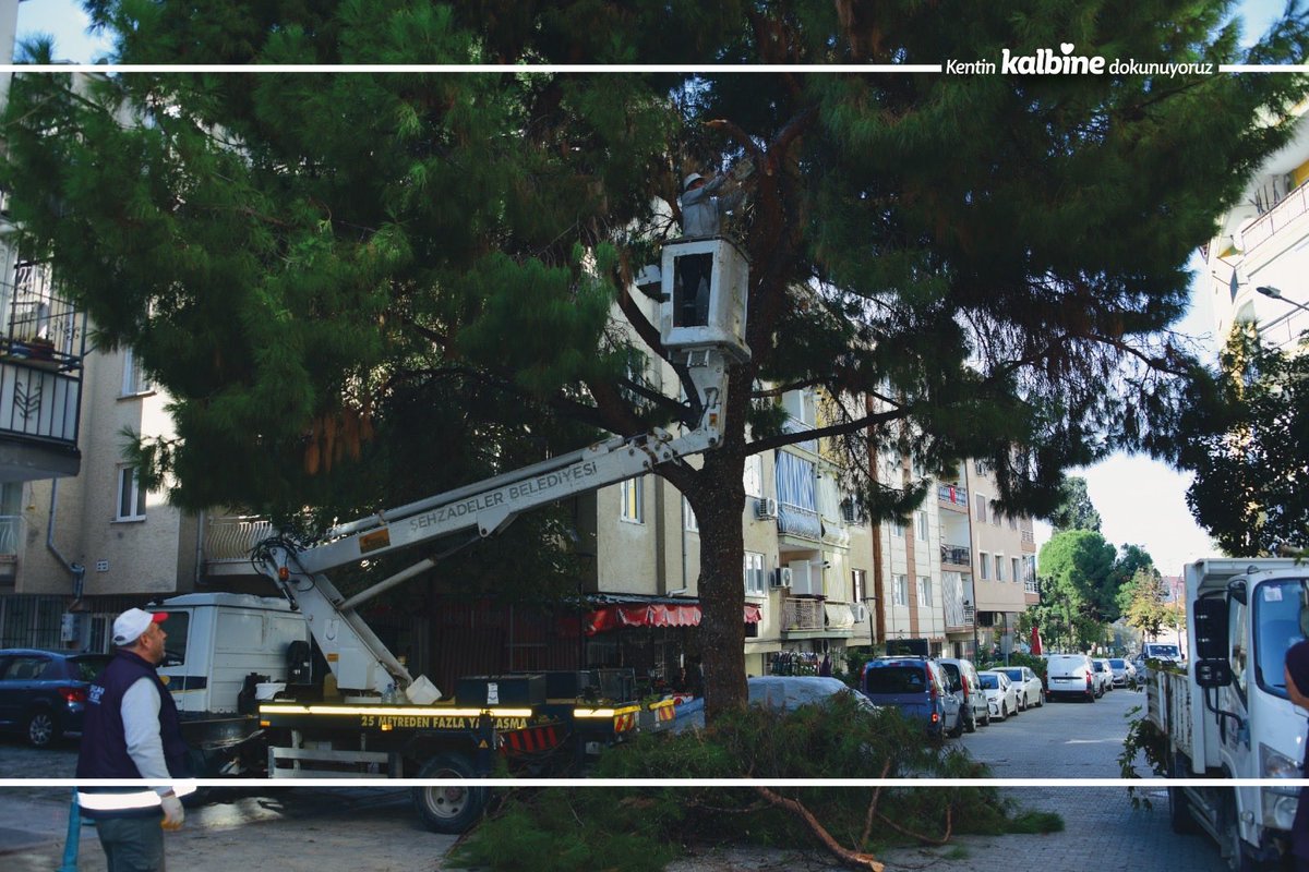 🌿 Park ve Bahçeler ekiplerimiz, 2. Anafartalar, Dere, Arda ve Tunca mahallelerinde ağaç budama çalışmalarını gerçekleştirdi.
Kentimizin daha düzenli, güvenli ve temiz bir görünüme kavuşması için bakım çalışmalarımıza aralıksız devam ediyoruz. 🌿✨