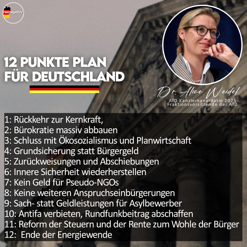 CDU/CSU: AfD 
SPD            : AfD
Grüne        : AfD 
Linke          : AfD 
Sonstige   : AfD 
AfD              : 12 Punkte Plan für Deutschland 🇩🇪

Das ist eben der Unterschied!