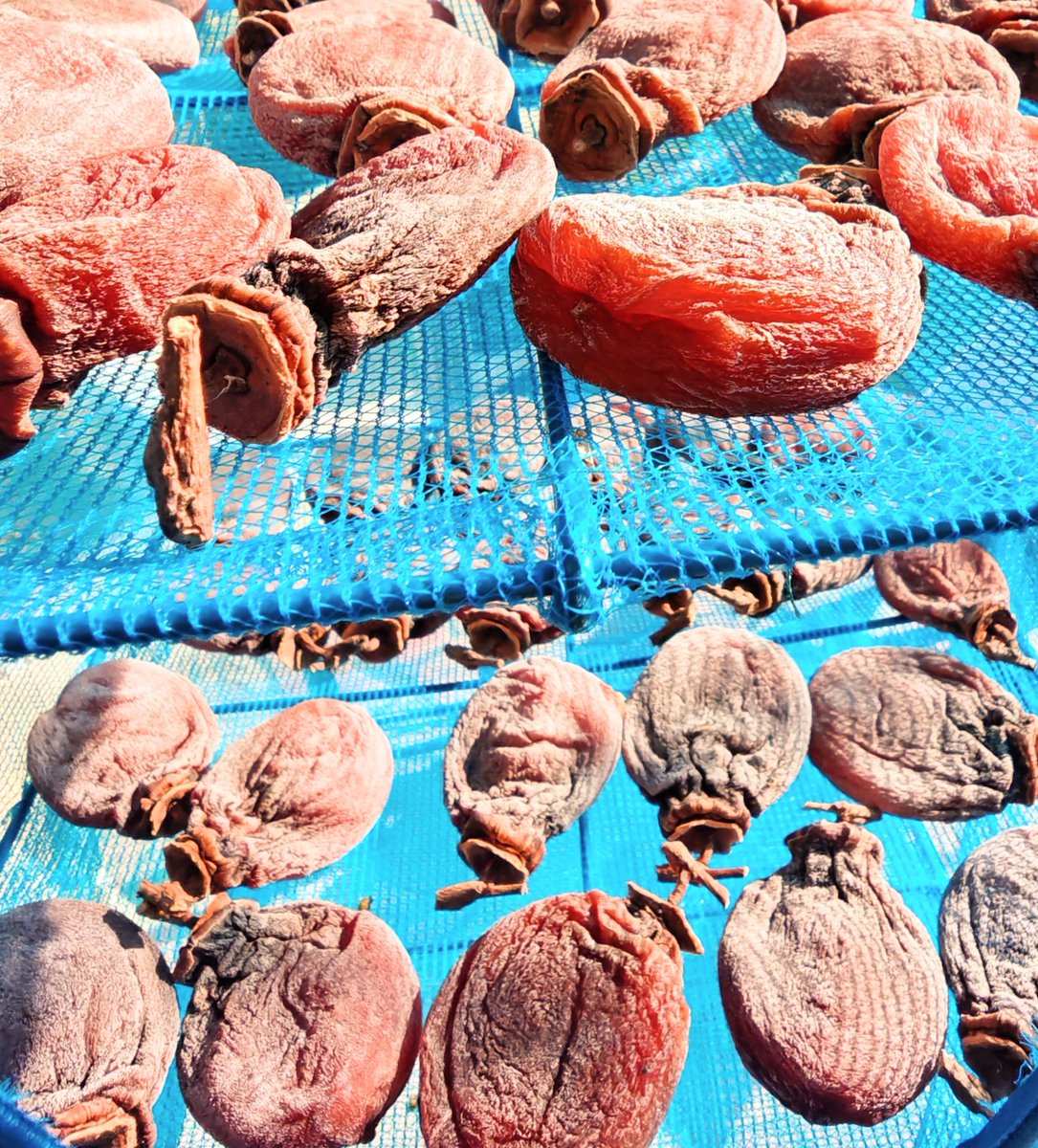 渋柿がこんなに甘くなる不思議。 柿を下さったご近所さんと おひさまと