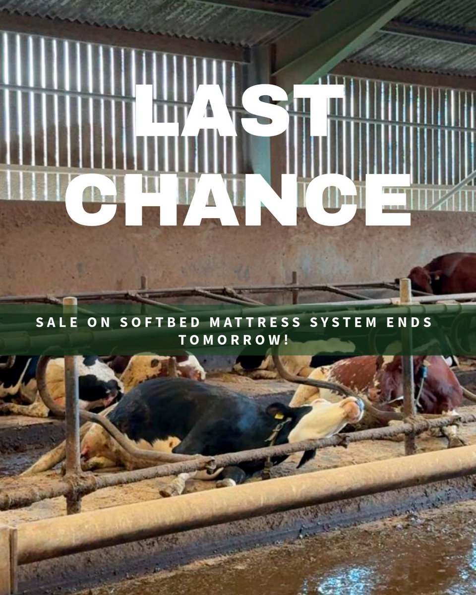 💥 SoftBed Sale Ends Tomorrow! 💥 
🐄 Premium mattress system → more lying time, healthier herds, higher yield.
✅Built for real farms 
✅Proven results 
✅Backed by matting specialists
👉 Last chance to upgrade at a discount that won’t last - claim now!
#farmer #farm #farmers