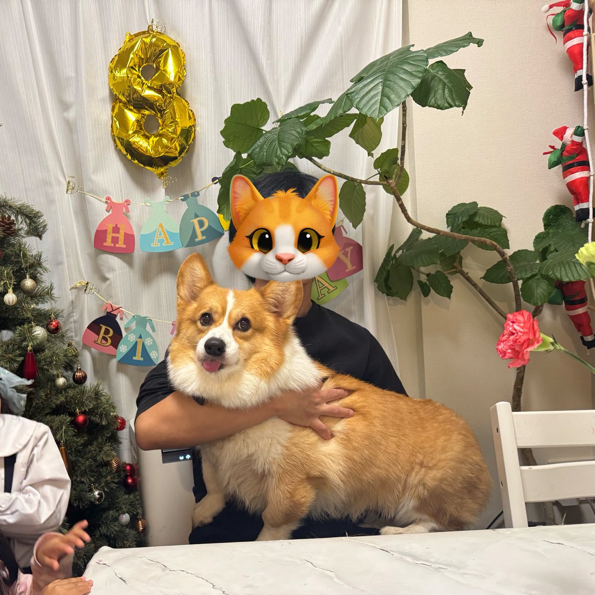 真夏の夜のイッヌ (@ahoinnu) / Posts / X