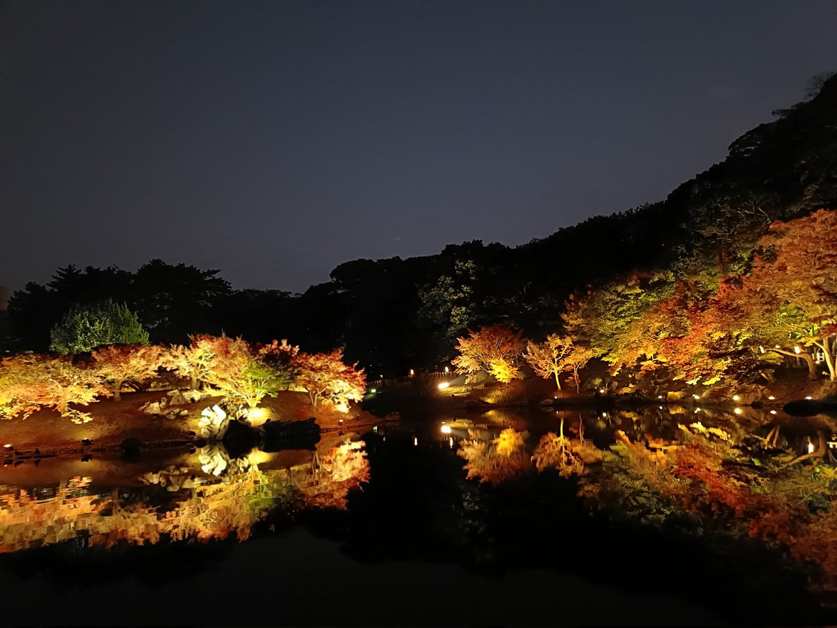 誕生日に香川の栗林公園に行ってきました
2025.11.26 @香川県
