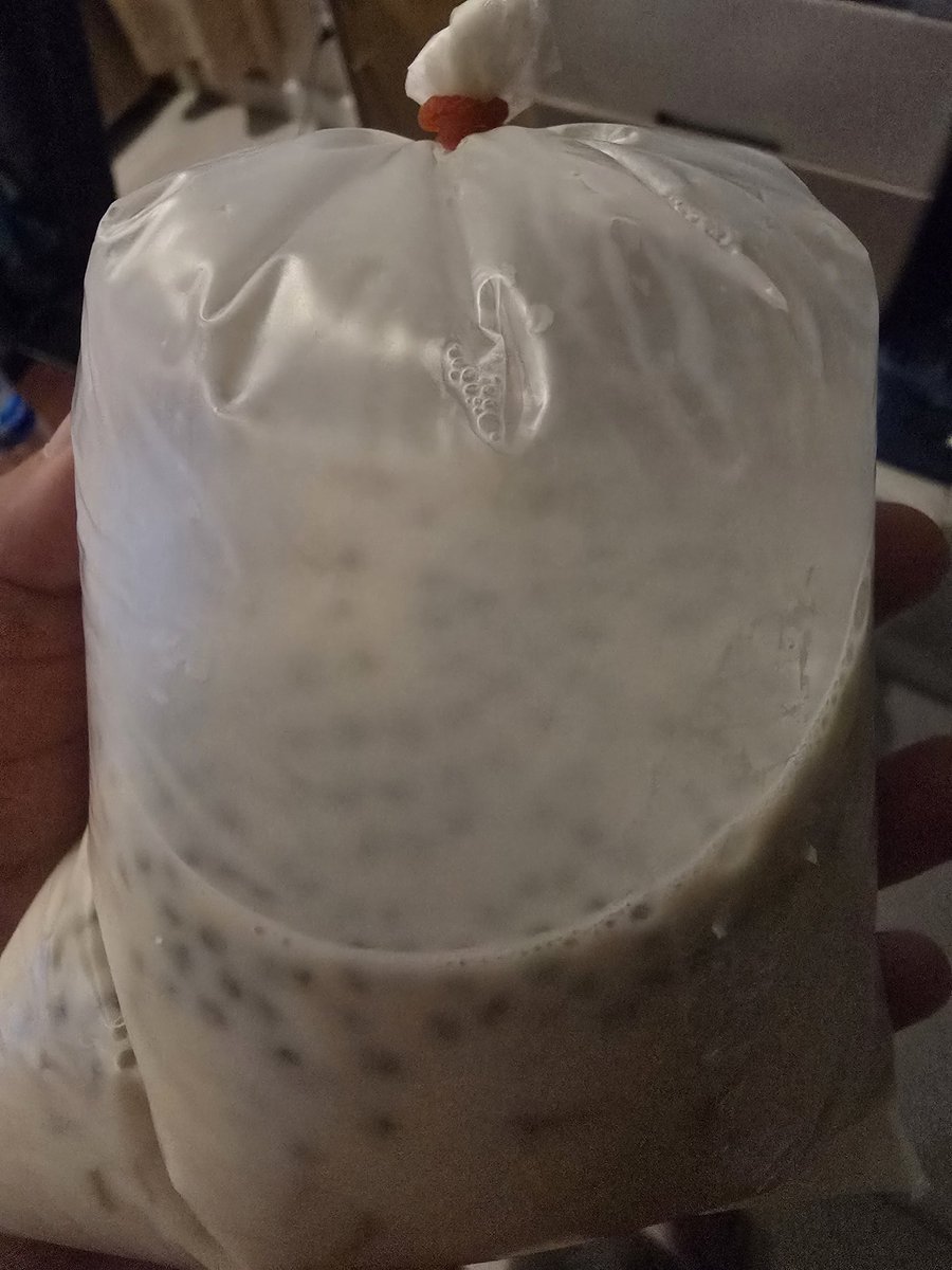 sibforyoux's tweet image. แก้บนที่น้ำตาลฟิล์มได้ออริแล้วบอกจะกินหนูนะคะ 

หนูต้ม (ห)นมตู้แล้วในตู้หมด บังเอิญไปเดินตลาดแล้วมี หนูเต้าหั้ม นั้มเต้าหู้  แถมทรงเครื่องให้เลยค่ะ 🤩