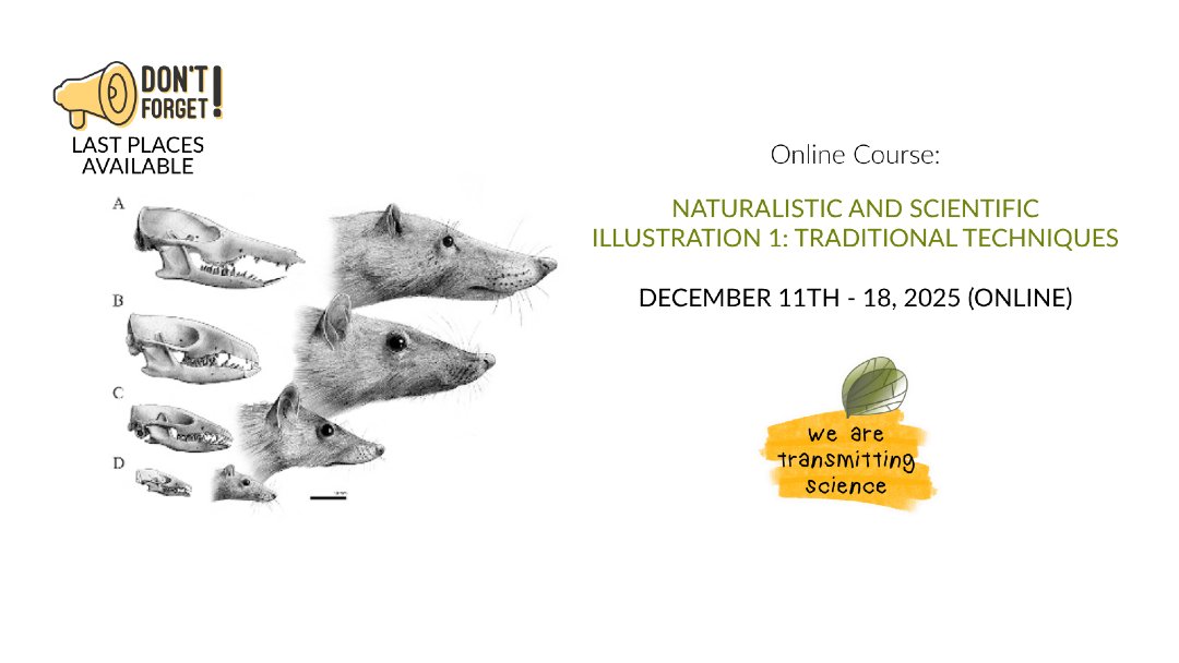 TransmitScience's tweet image. 🚨 Last Call – Naturalistic and Scientific Illustration 1: Traditional Techniques

📅 December 11th–18th, 2025
💻 Online

transmittingscience.com/courses/scient…

#TScourses #KeepLearning #SciArt