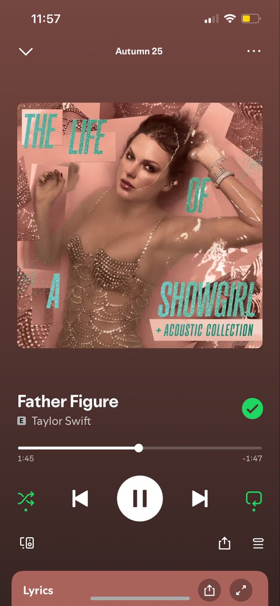 TiedWithASwiftE's tweet image. When the Taylor Swift musical comes out be prepared to hear an evil man singing this one