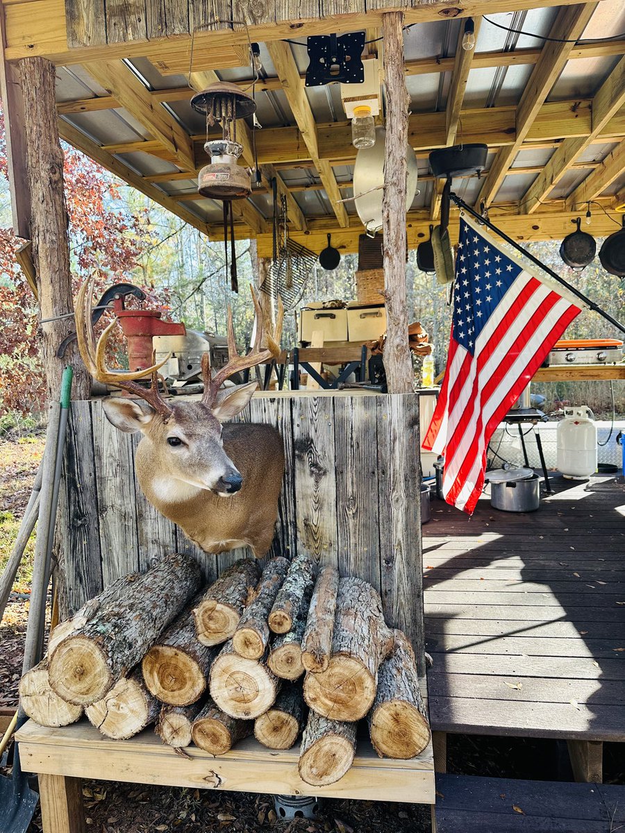 FightingElder's tweet image. 🇺🇸🦃Good morning and Happy Thanksgiving from South Carolina 🇺🇸🦃🦌