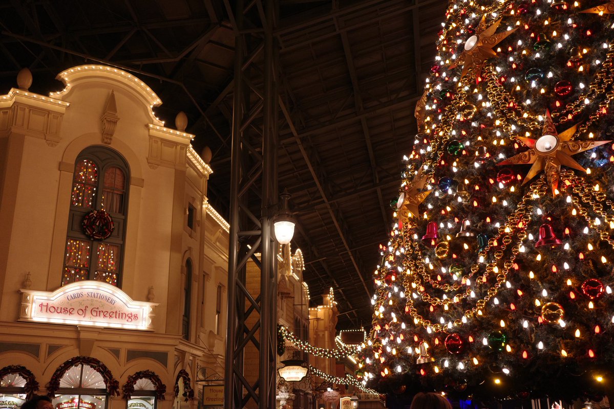 クリスマスディズニー最っ高によかった🎄.*

どこ見てもキラキラで
歩くだけで幸せ感じたよ､､😭🤍🤍