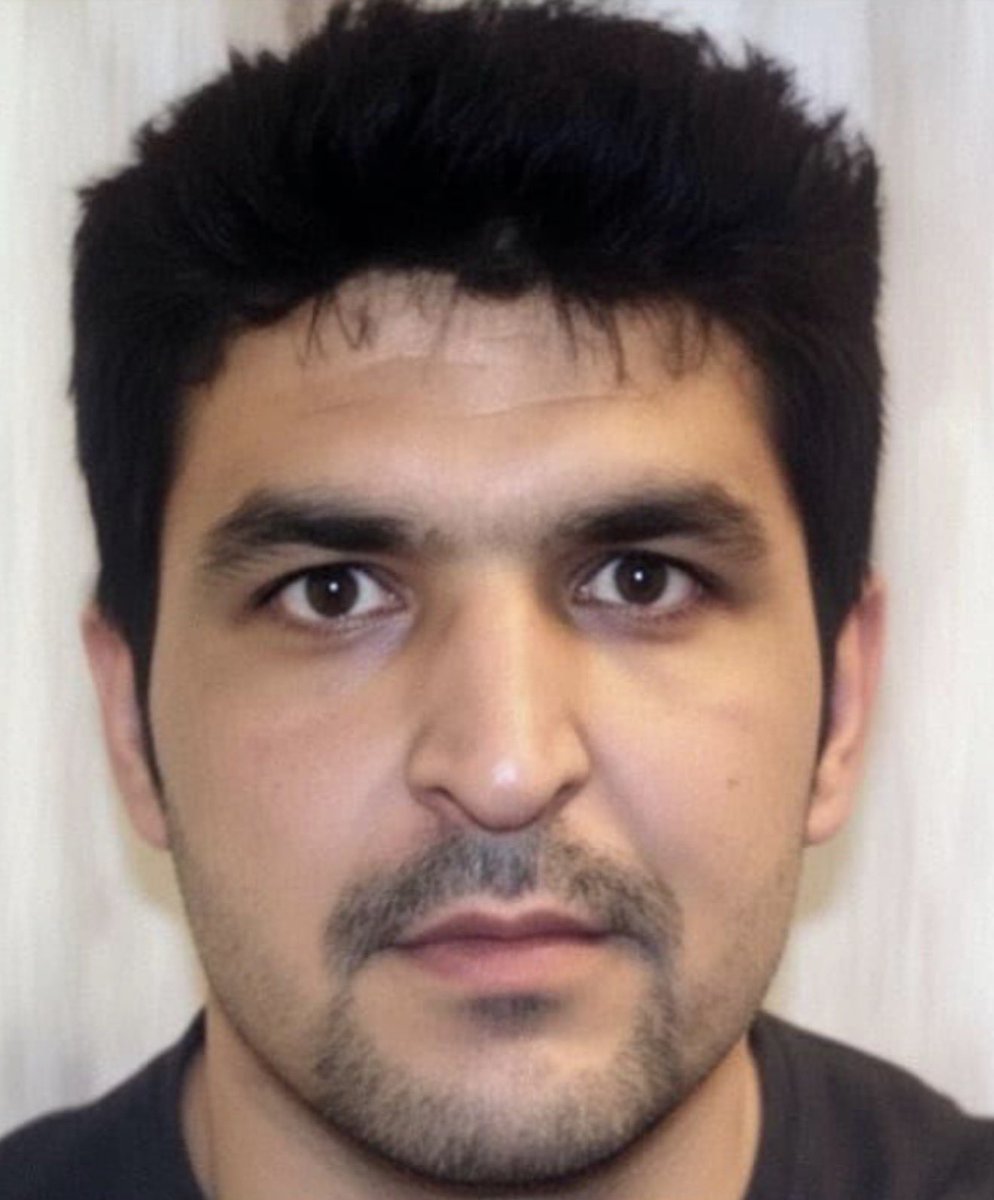 Gunther Eagleman™ tweet media