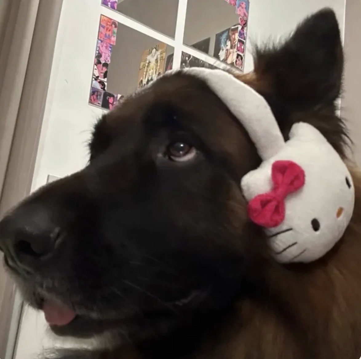 svergognata🫧 tweet media