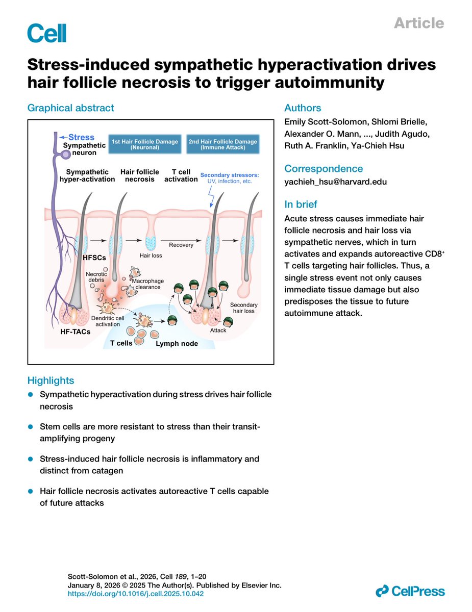 How does stress trigger hair loss?

Acute stress causes immediate hair follicle necrosis and hair loss via sympathetic nerves, which in turn activates and expands autoreactive CD8+ T cells targeting hair follicles. 

cell.com/cell/fulltext/…