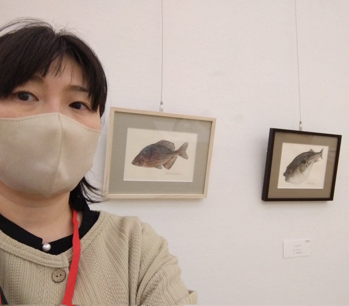 sakanasanboisu's tweet photo. 躍動する現代作家展（国立新美術館）に「ニッポンバラタナゴ」と「トラフグ」の原画を出展しています🐟

今日は会場に行ってきました。
作品が並んでいる様子を見られて嬉しかったです。

会期：2025/11/27〜12/7
お近くに来られる方はぜひ✌️

#躍動する現代作家展
#国立新美術館 https://t.co/vfQ8sWke26