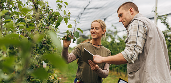 𝐆𝐢𝐨𝐯𝐚𝐧𝐢 𝐚𝐠𝐫𝐢𝐜𝐨𝐥𝐭𝐨𝐫𝐢 𝐚𝐥 𝐜𝐞𝐧𝐭𝐫𝐨 𝐝𝐞𝐥 𝐟𝐮𝐭𝐮𝐫𝐨 𝐝𝐞𝐥𝐥’𝐚𝐠𝐫𝐢𝐜𝐨𝐥𝐭𝐮𝐫𝐚 𝐞𝐮𝐫𝐨𝐩𝐞𝐚
come rendere l’agricoltura una professione attrattiva per le nuove generazioni.
🔜 crea.gov.it/web/politiche-…