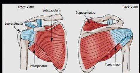 Avoid this 'behind the neck' press.

It goes against the functional movements of the shoulder joints.

It injures the ROTATOR CUFF MUSCLE leading to endless painful shoulder and loss of shoulder activities for a long time.

ROTATOR CUFF is a group of 4 muscles that offer dynamic