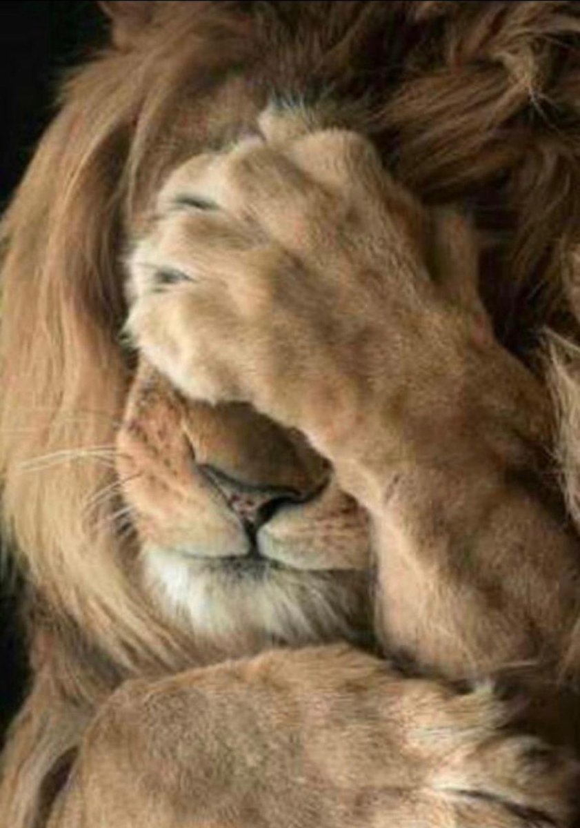 El dinero del Fondo Nacional del Ahorro no es del Gobierno.
Es de los ahorradores.
Tocar sus utilidades para financiar gasto público abre un debate serio: ¿hasta dónde se puede llegar cuando un gobierno toma un ahorro y/o rendimientos que no le pertenece?