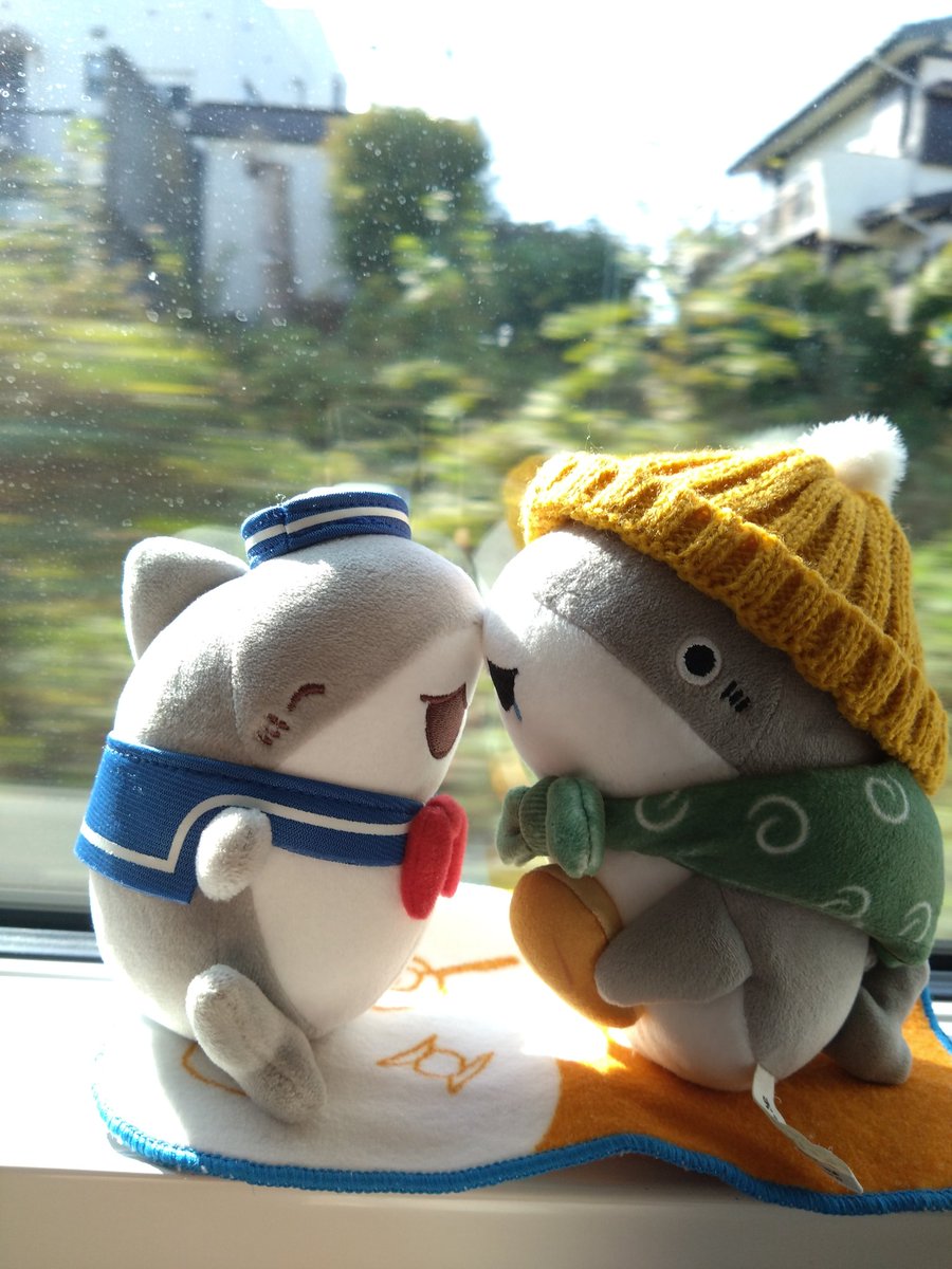 ふにゃんこ様♡確認page☆ジェラトーニポーチ ふにゃんこ様♡確認page