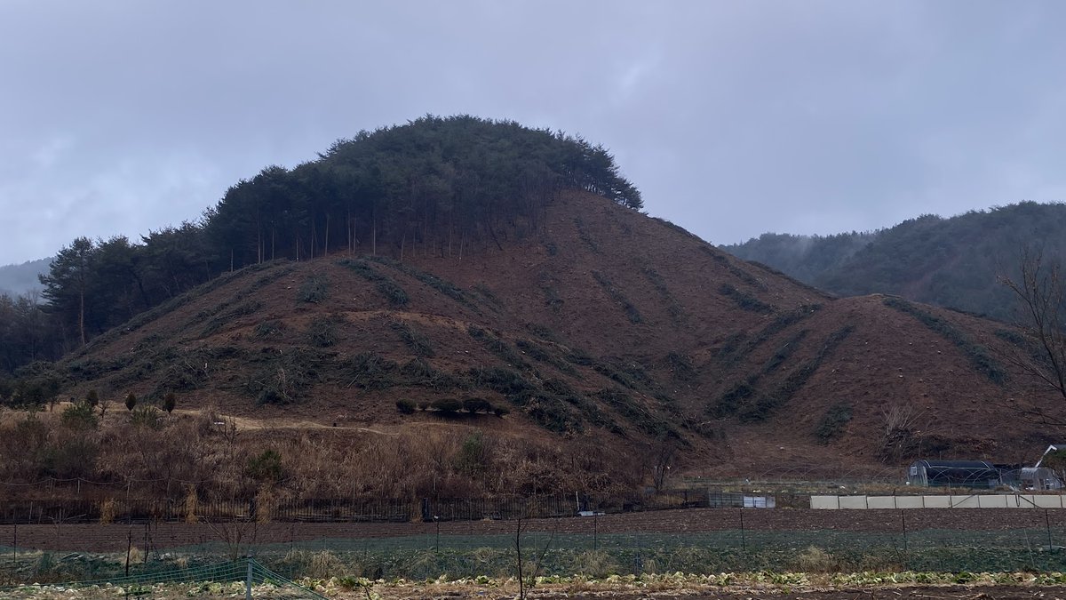 ppptec's tweet image. 비오는 날인데도 벌목 작업을 하고 있다.
산림청이 숲을 파괴하고 있다.
멀쩡한 나무를 잘라내는 꼴을 보고 있자니 속이 터지고 
나무를 잘라 팔아 먹느라 정신없는 목재상들을 보니 기가 막힌다.
이 와중에 동네 사람들은 나무 한 차 얻으려고 혈안이다.

인간이 변하지 않은 채 
오늘의 거주 불가능…