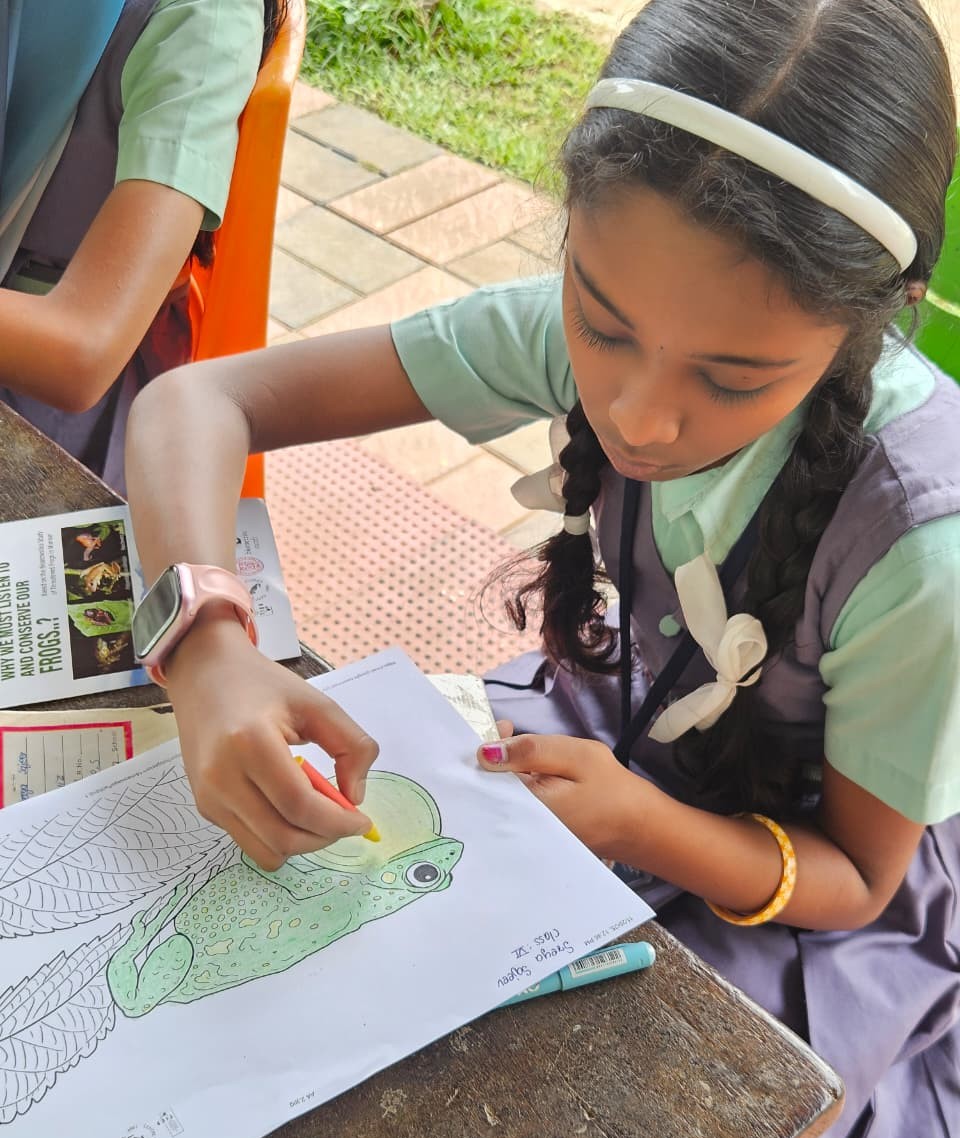 InstituteTies's tweet image. Decoding the Croack! TIES Inspires Young Conservationists at Govt. UP School, Thokkupara

Learn more : ties.org.in/News/Decodingt… 

#TIESinstitute #CWS #project #funding #frog #munnar #kottayam #school #awareness #kerala
