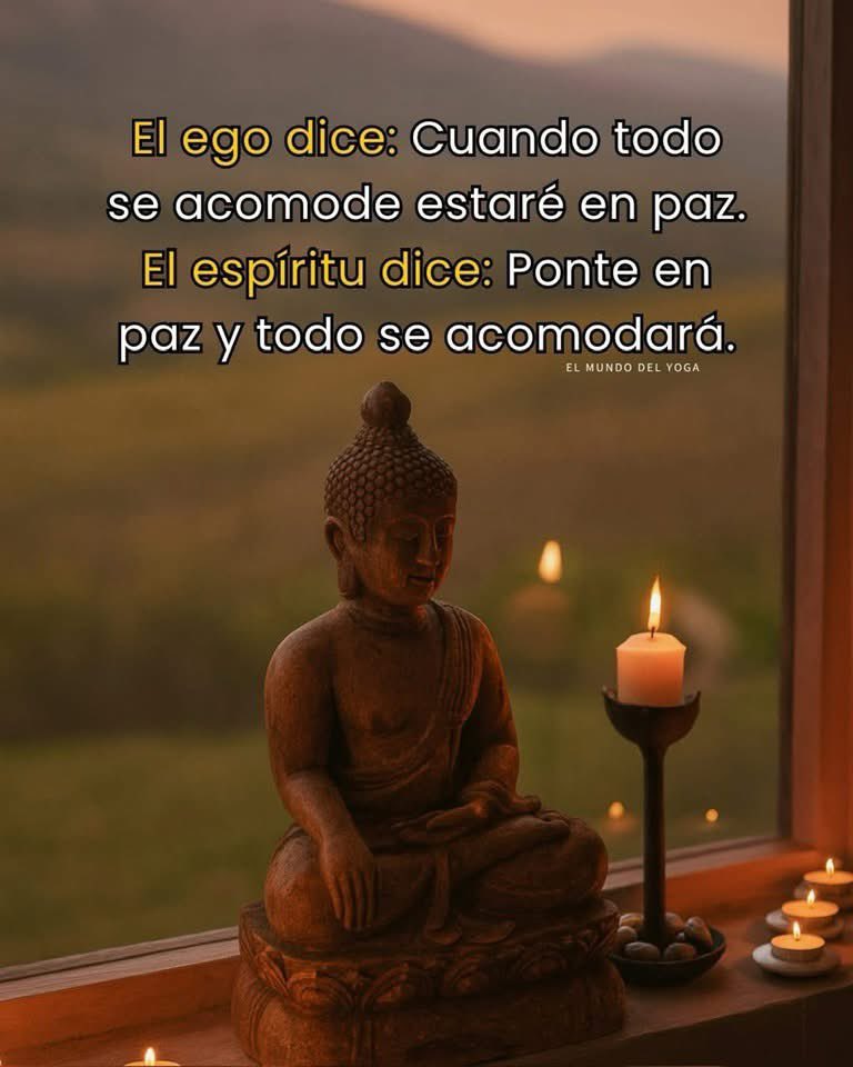 richtocor's tweet image. Excelente Jueves a todos. 💫