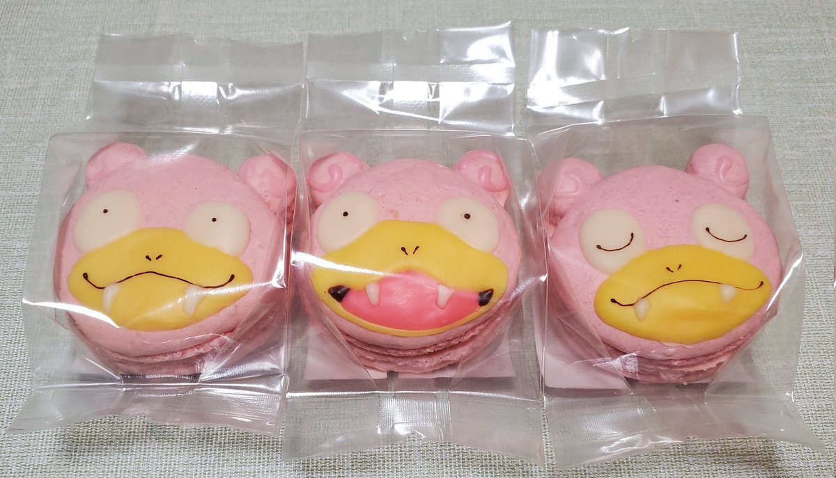 どんちゃんの飼い主(ヤドン先生) (@don_no_kainushi) / Posts / X