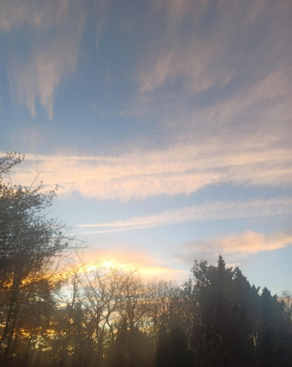 CCB_NOVA's tweet image. 🚨 7am in NoVA Thanksgiving morning and our government is serving up hefty dose of poison in our skies.  Our government hates us. @potus, this is quite a bullsh*t &apos;Golden Age&apos;.
👀👇👇👇
#ReclaimOurSkies  #TheClearSkiesMovement #StopGeoengineering #chemtrails #TakeBackOurSkies
